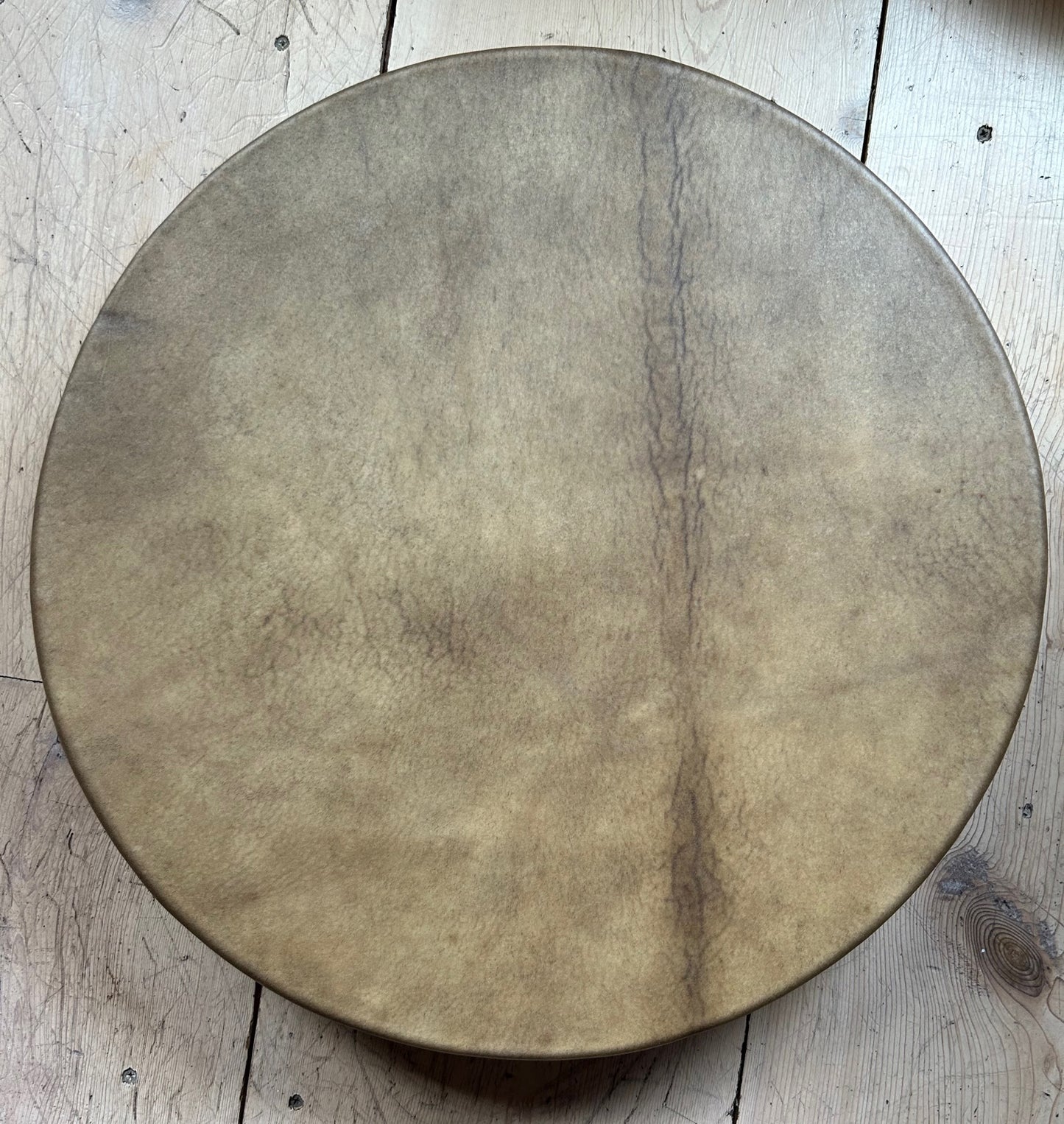 Example of a bison drum make by master drum maker Katherine Skaggs in Fort Collins Co