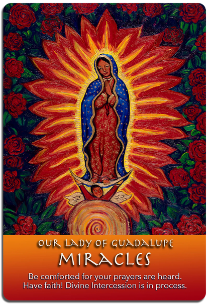 MIRACLES - VIRGIN de GUADALUPE corners and shadow