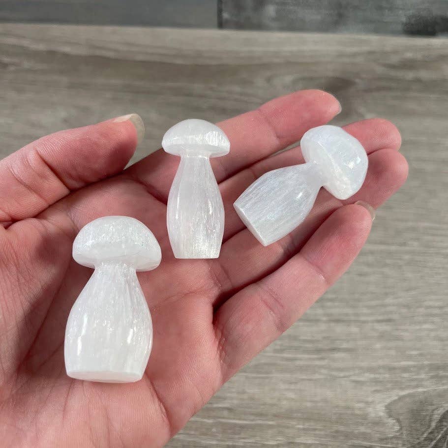 Selenite Small Stones Polished