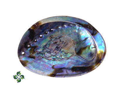 Abalone Shells 4.75-6"