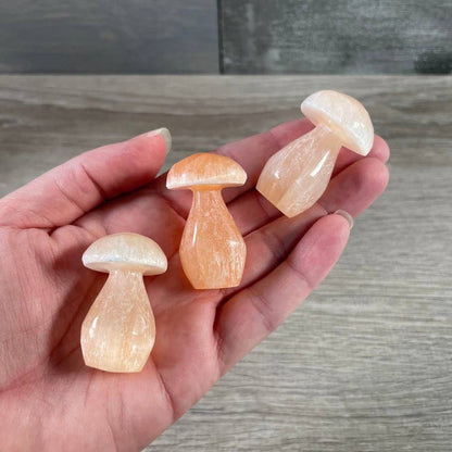 Selenite Small Stones Polished