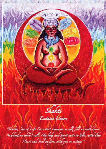 Shakti Hindu Mother Goddess