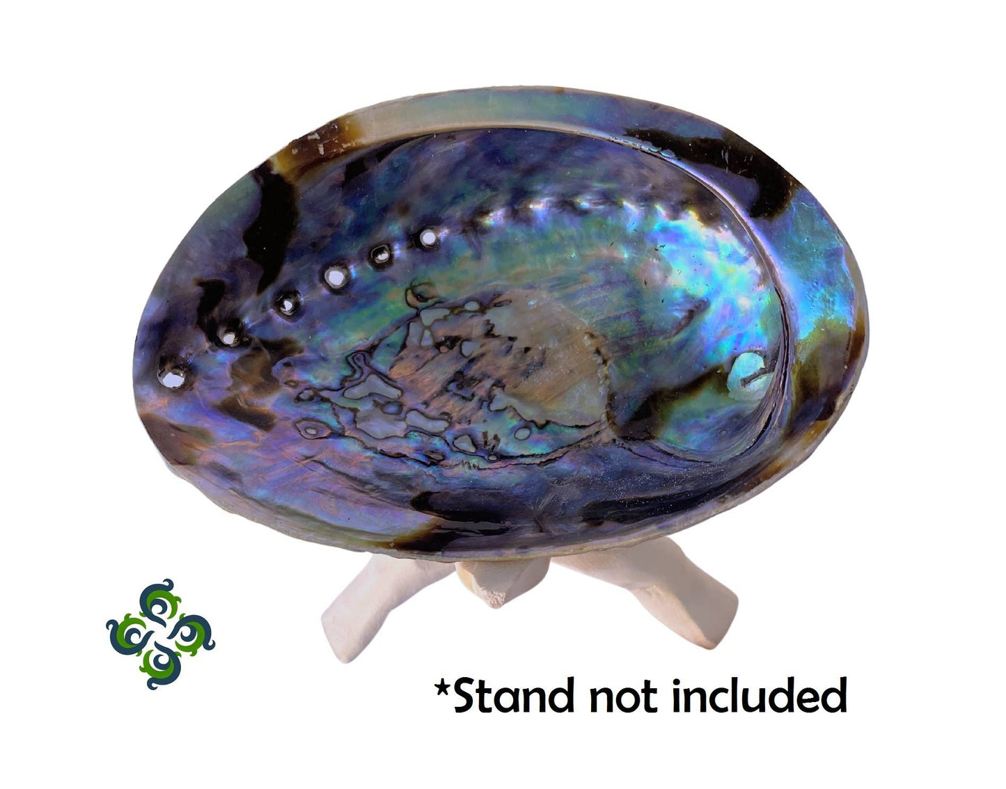 Abalone Shells 4.75-6"